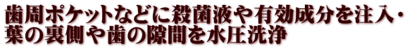 歯周ポケットなどに殺菌液や有効成分を注入・  葉の裏側や歯の隙間を水圧洗浄