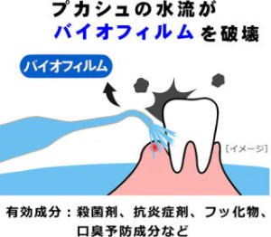 バイオフィルムを破壊